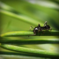 /album/empresarialyfinanzasmaily-cur/photolia-a05-jpg/